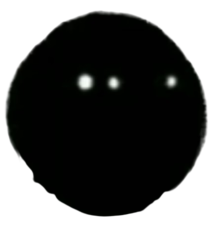 Left Pupil
